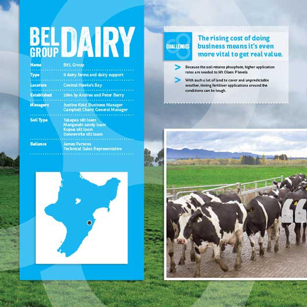 Creating the best dairy on earth display.