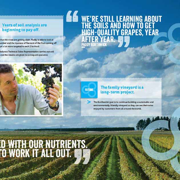 Creating the best Pinot Noir on earth display.